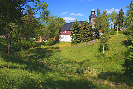 Frühlingswiese in Schönfeld