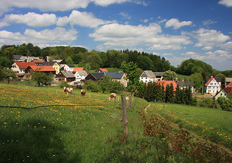 Dorfwiesen